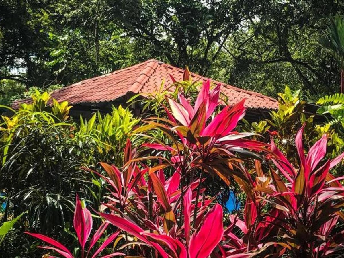 Casa Colores Montezuma Zewnętrze zdjęcie