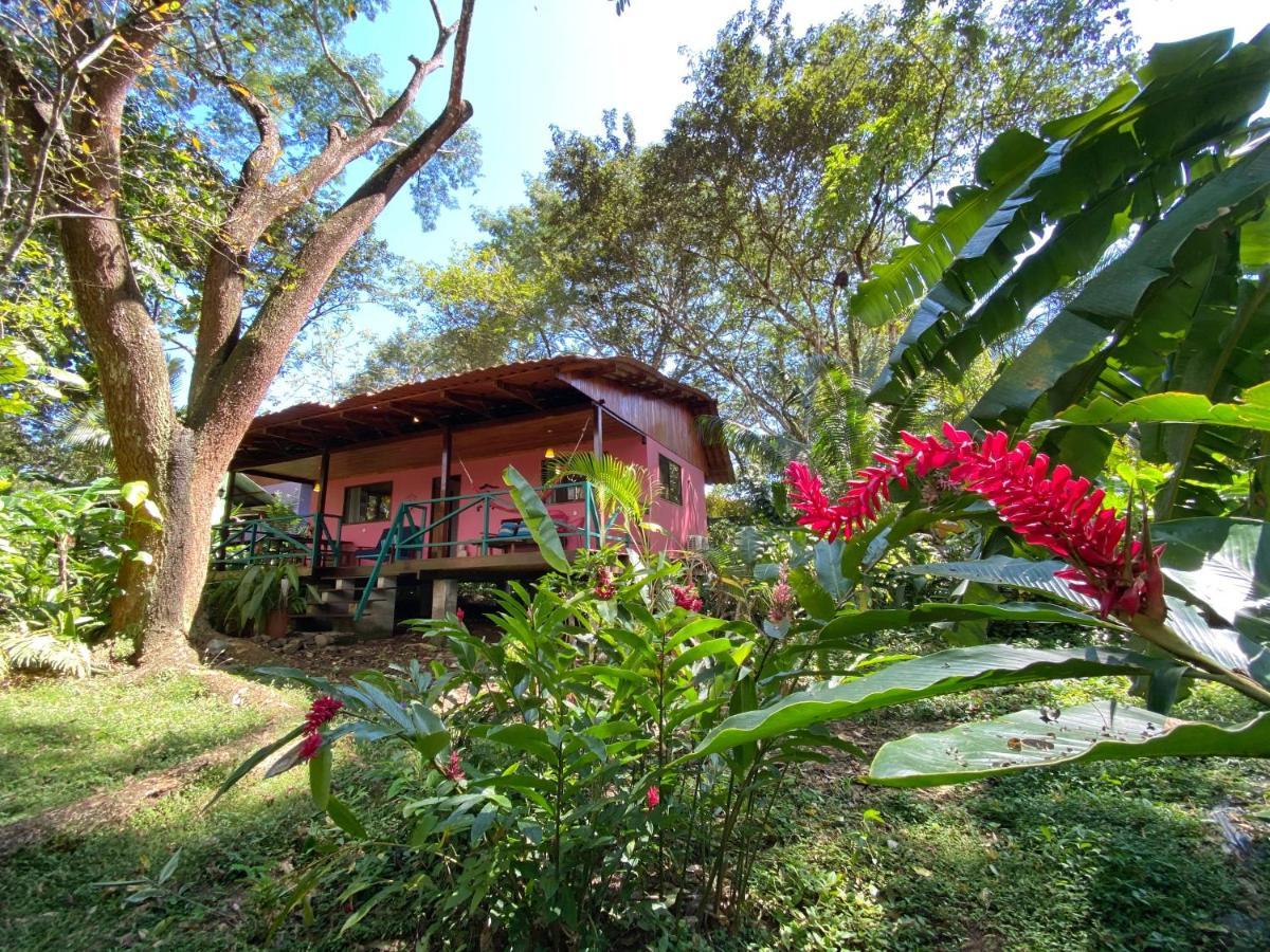 Casa Colores Montezuma Zewnętrze zdjęcie