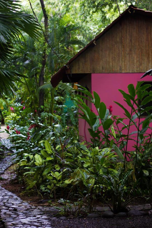 Casa Colores Montezuma Zewnętrze zdjęcie